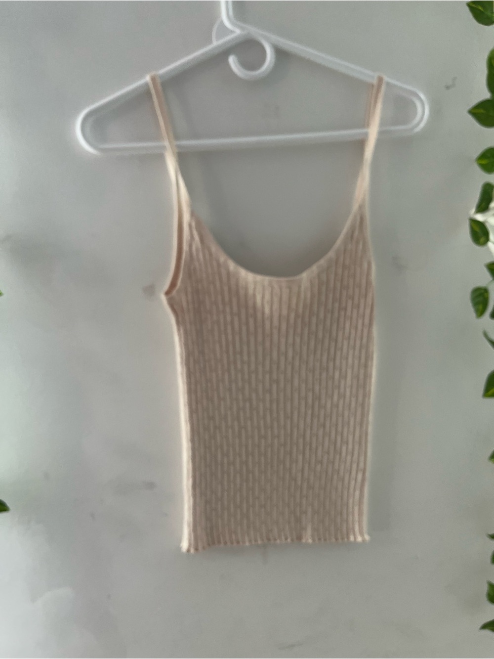 Chelsea & Theodore Beige Ribbed Knit Crop Cami
